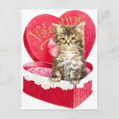 キャンディボックスの子猫 ポストカード (正面)