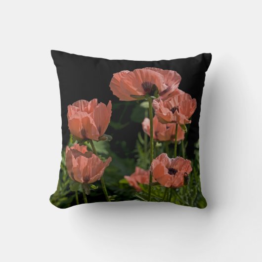 キャンディポップ枕 クッション (正面)