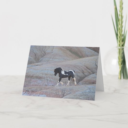 "キャンディランド"ノートカード カード (正面)