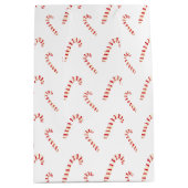 キャンディーキャンズパターン ミディアムペーパーバッグ (正面)