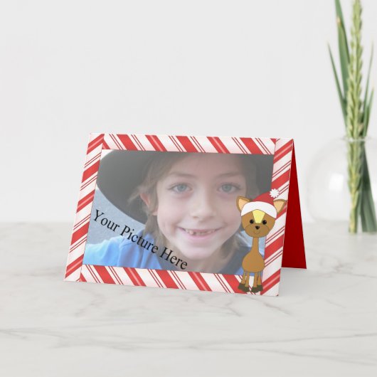 キャンディーケインウェインジカ シーズンカード (正面)