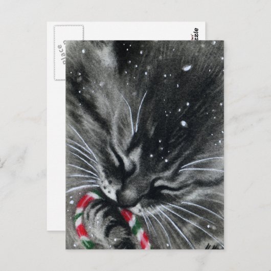 キャンディーケインキッテン猫のポストカード ポストカード (正面/裏面)