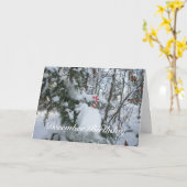 キャンディーケインデコレーション – ディセンバー誕生日 カード (黄色い花)