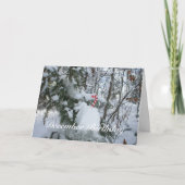 キャンディーケインデコレーション – ディセンバー誕生日 カード (正面)