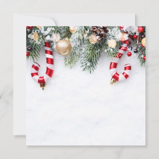 キャンディーケイン、松の木の枝クリスマス 招待状 (裏面)