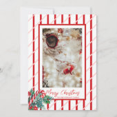 キャンディーケーンとグリーン | クリスマスの家族写真 シーズンカード (正面)