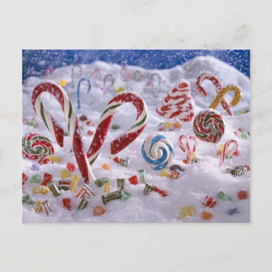 キャンディーケーンの森 ポストカード (正面)