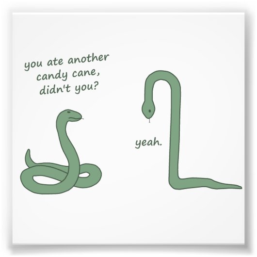 キャンディーケーンスネーク フォトプリント            (正面)