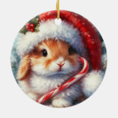 キャンディーケーンバニーラビットクリスマス セラミックオーナメント (裏面)
