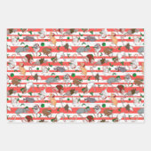 キャンディーケーンペットラティクリスマス！ ラッピングペーパーシート (正面)