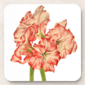 キャンディーケーンリリーオンコースター コースター (正面)