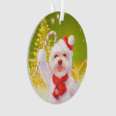 キャンディーケーン付きクリスマスドッグ オーナメント (正面)