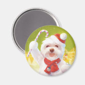 キャンディーケーン付きクリスマスドッグ マグネット (正面/裏面)