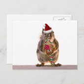 キャンディーケーン付きクリスマスリス シーズンポストカード (正面/裏面)