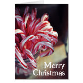 キャンディーケーン、ジングルベル、クリスマスキャンディホリデー (正面)