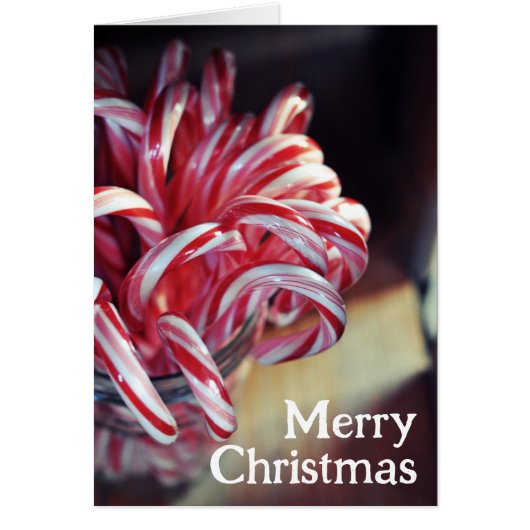 キャンディーケーン、ジングルベル、クリスマスキャンディホリデー (正面)