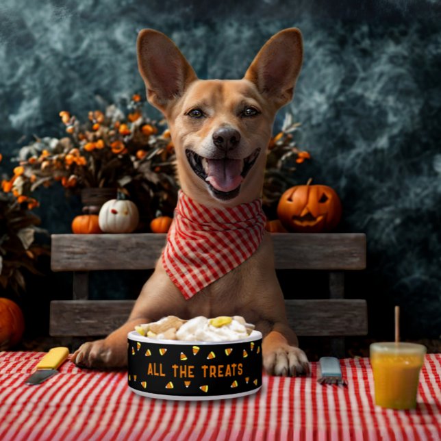 キャンディーコーンオールザトリートハロウィーンドッグボウル ボウル (A candy corn pattern food bowl for your pet. Let them join in the Howl-oween fun!)