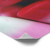 キャンディーコーンポスター ポスター (角)