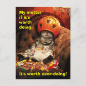 キャンディーバケットの下の猫 インビテーションポストカード (正面)