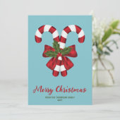 キャンディ赤と白キャンヌオンブルーと文字 シーズンカード (スタンド正面)