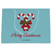 キャンディ赤と白キャンヌオンブルーと文字 ラージペーパーバッグ (正面)