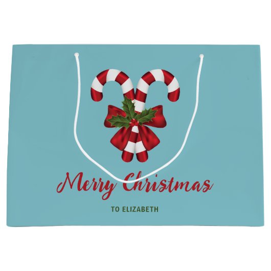 キャンディ赤と白キャンヌオンブルーと文字 ラージペーパーバッグ (正面)