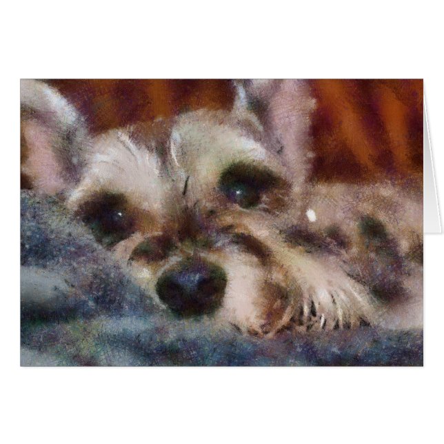 キャンディ (正面横)