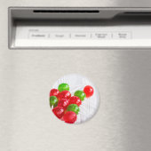 キャンディ2 マグネット (インサイチュ (食洗機))