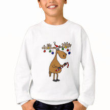 キャンディ・ケーンおよびオーナメントを持つおもしろいのクリスマスのアメリカヘラジカ