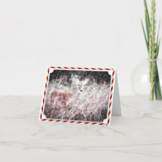 キャンディ・ケーンのクリスマスのシカの休日カード シーズンカード