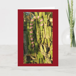 キャンディ・ケーンのサボテン シーズンカード