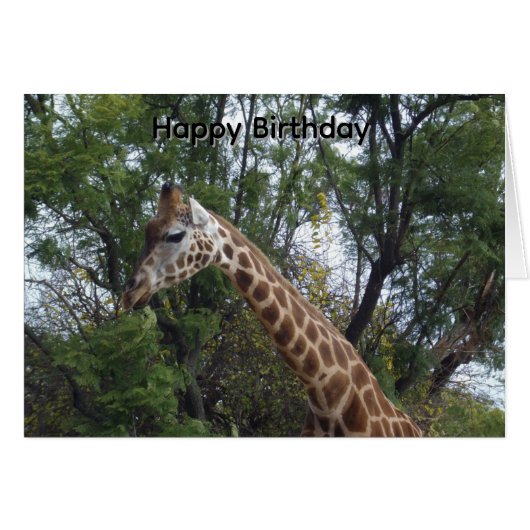 キャンディ・ザ・ジラフ 誕生日カード (正面横)