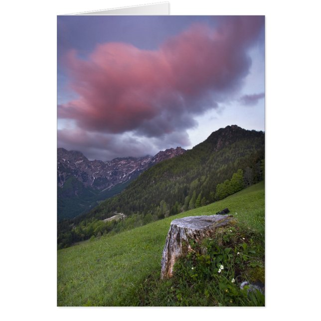 キャンデーのフロスの雲 (正面)