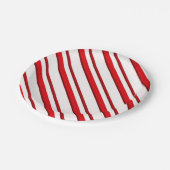 キャンデーは、ペパーミントの赤及び白縞で飾ります ペーパープレート (アングル)