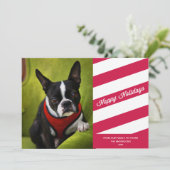 キャンデーは%PIPE%の休日の写真カードを縞で飾ります シーズンカード (スタンド正面)