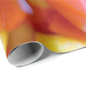 "キャンデートウモロコシ"のハロウィンの包装紙 ラッピングペーパー (ロールコーナー)