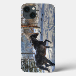 キャントリングブラックパーシェロンホース&スノーフォト2 iPhone 13ケース