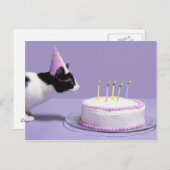 キャンドルにバースデー吹タハットを着た猫 ポストカード (正面/裏面)