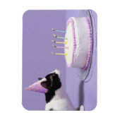 キャンドルの外吹にバースデーハットを着た猫 マグネット (縦)