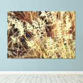 キャンバスに包まれた砂漠の草 キャンバスプリント (インサイチュ (ウッドフロア))