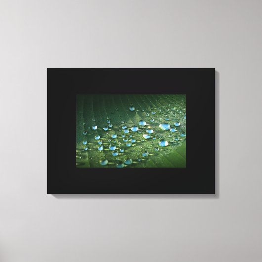 キャンバスのアート – 水滴 キャンバスプリント (正面)