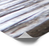 キャンバスのポスター色彩の鮮やかサイズの亀の陸上 ポスター (角)