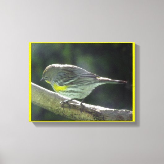キャンバスの印刷 – ブランチ上の黄色いブレスト鳥 キャンバスプリント (正面)