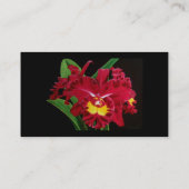 キャンバスの名刺の蘭の油 名刺 (裏面)