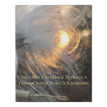 キャンバスの太陽のmilkweed