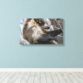 キャンバスの折り返し: Coatimundi #3 キャンバスプリント (インサイチュ (ウッドフロア))