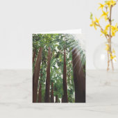 キャンバスの正義からの"カリフォルニアレッドウッド"カード カード (黄色い花)