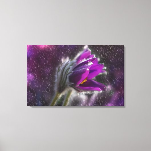 キャンバスアートプリント-春シャワー キャンバスプリント (正面)