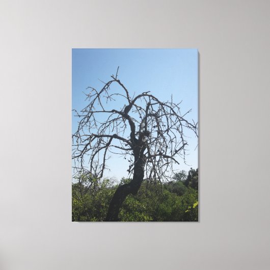 キャンバスアート及びデザインスタイル キャンバスプリント (正面)