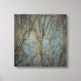 キャンバスアート及びデザイン壁 キャンバスプリント